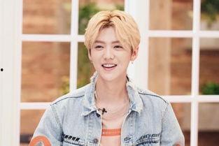 鹿晗吃瓜爆料,一场吃瓜爆料的真实大戏