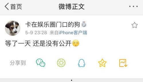 皮皮吃瓜爆料,娱乐圈最新猛料大揭秘