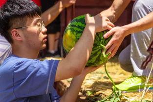 大学吃瓜爆料炸裂,校园风云再起，惊天秘密炸裂曝光