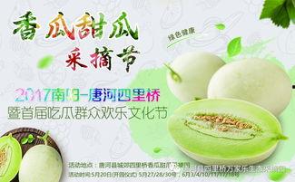 网红 吃瓜合集,盘点娱乐圈最新热点事件